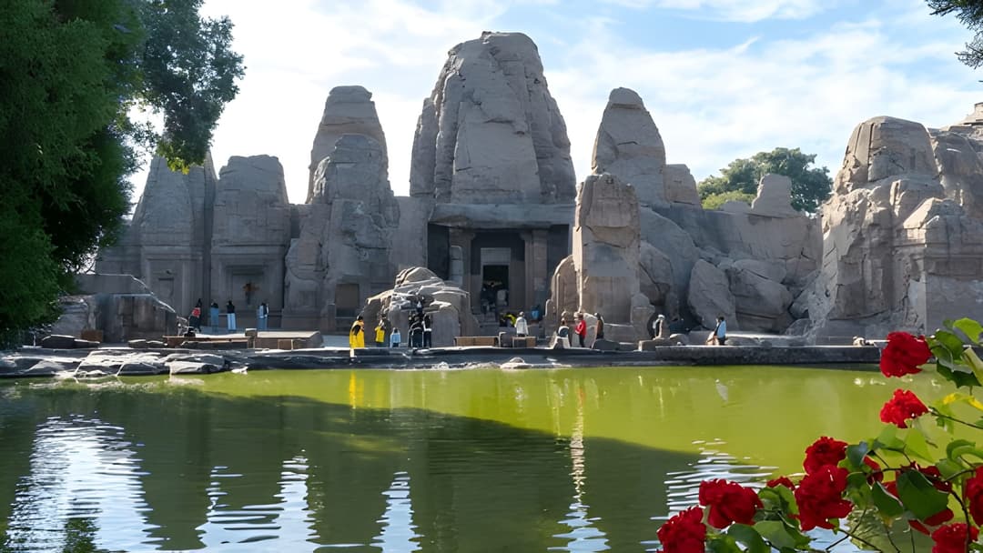 discover the best time to visit palampur 