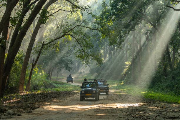 Places to Visit in Jim Corbett: Top Tourist Attractions
