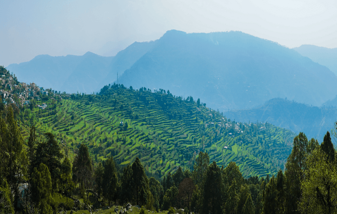 7 Interesting Features of Windsor Lodge, Ranikhet: From Hunting Lodge to Luxury Resort